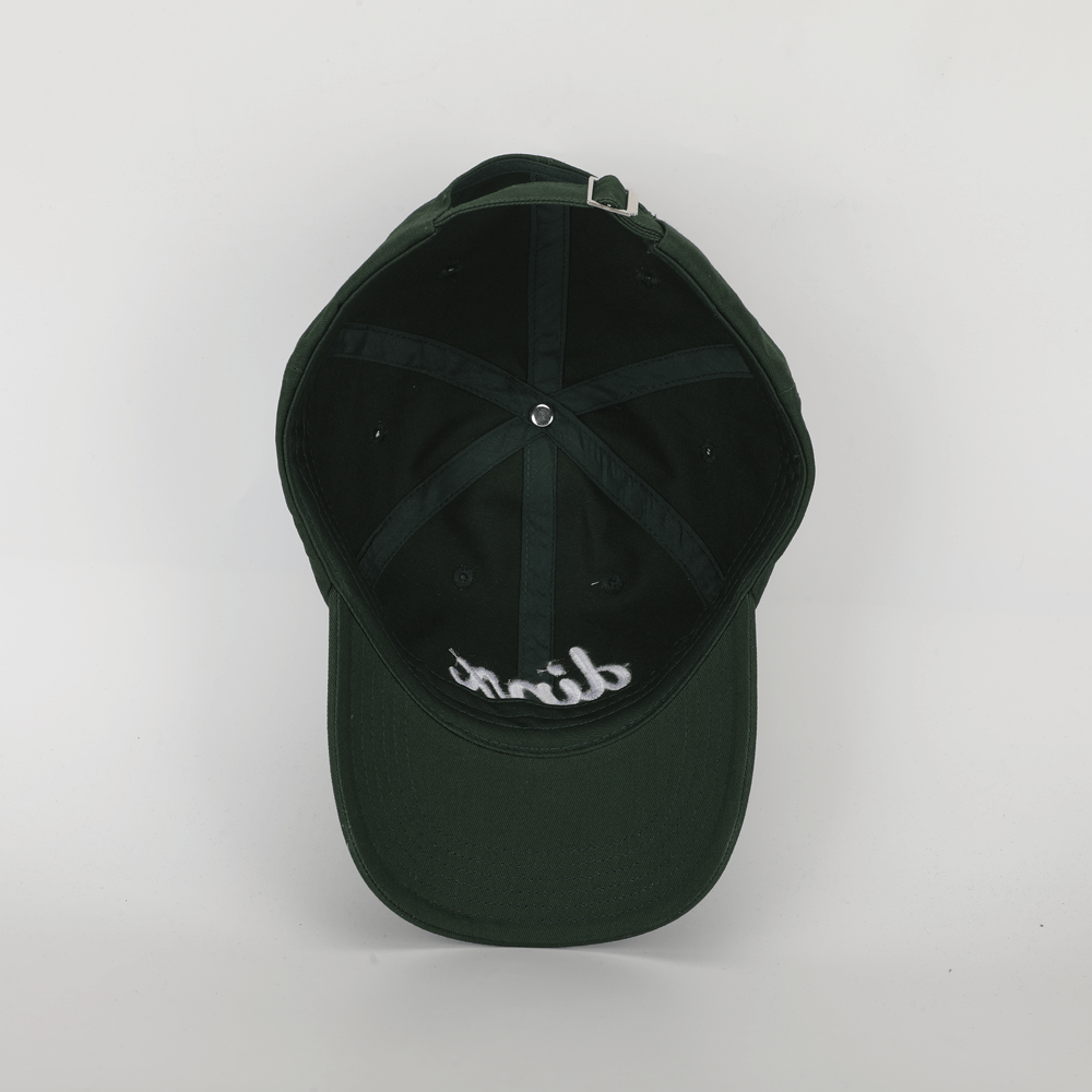 Dinx Dad Hat | Pickle Green